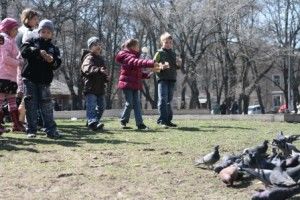 IMG_3101