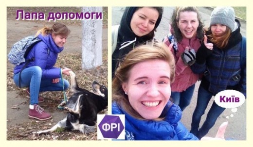 фрі київ лапа допомоги
